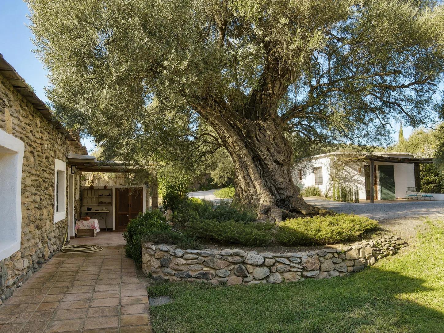 House for Sale in Órgiva