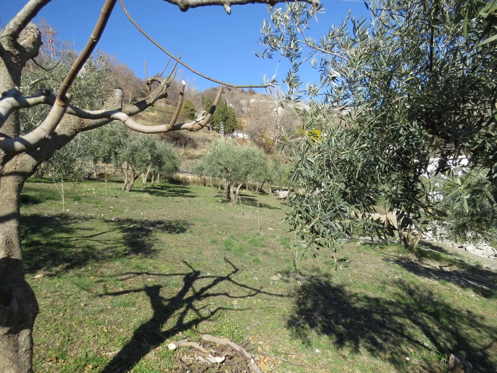 House for Sale in Bérchules