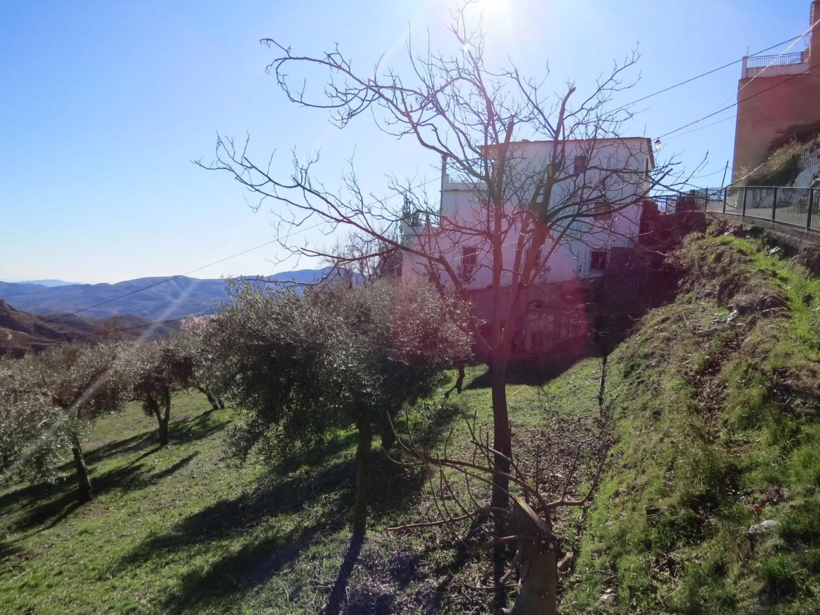 House for Sale in Bérchules