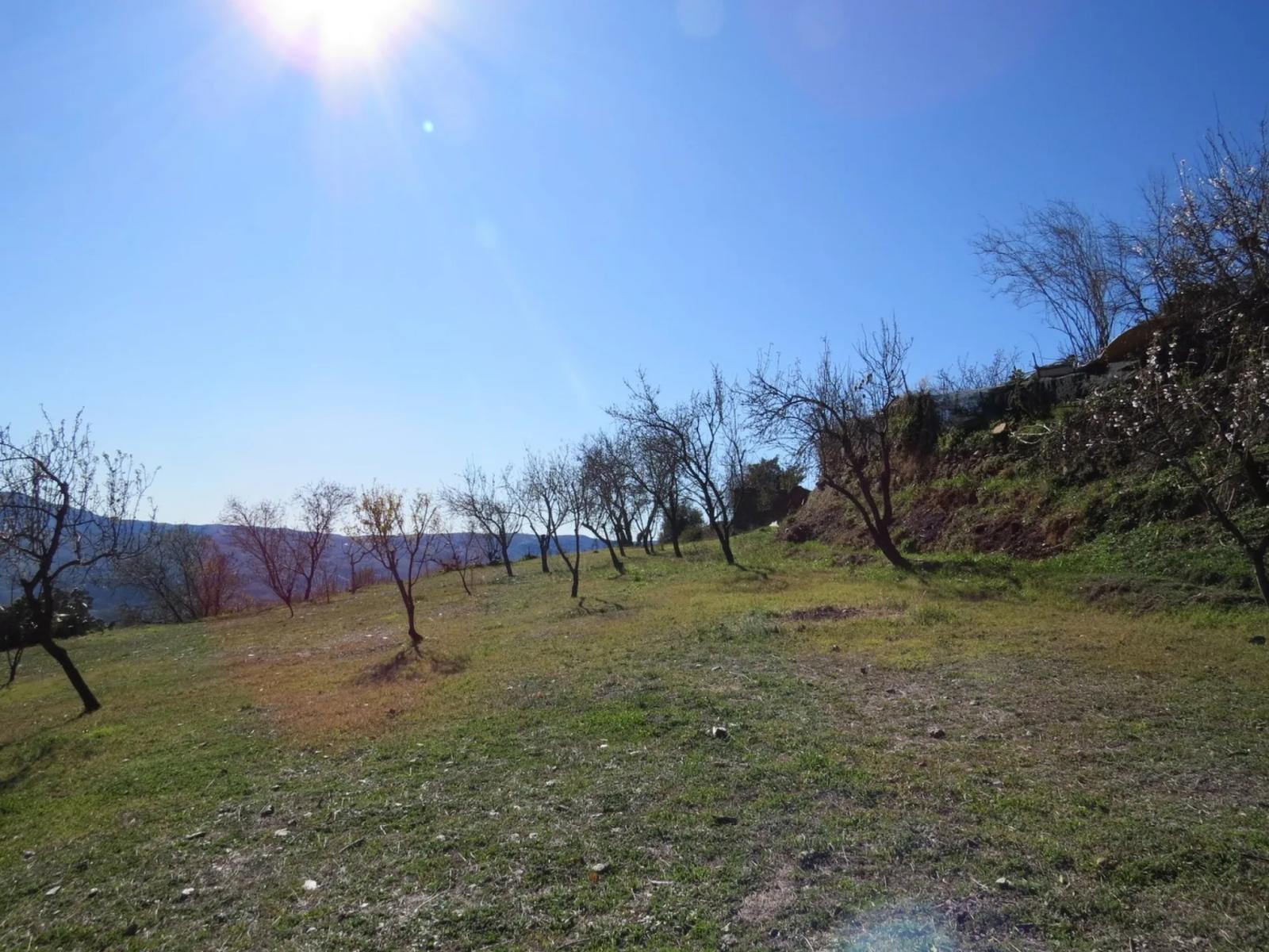 House for Sale in Bérchules