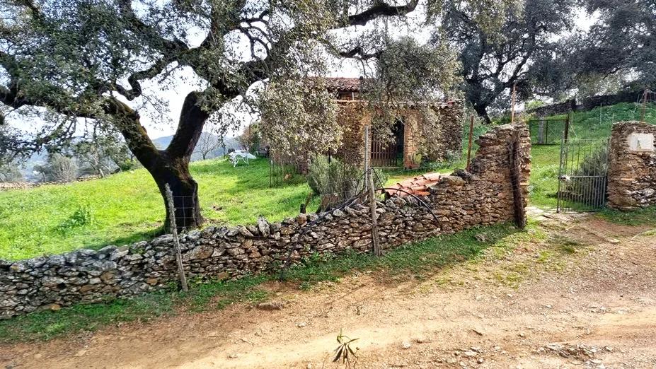 Casa en Venta en Aracena