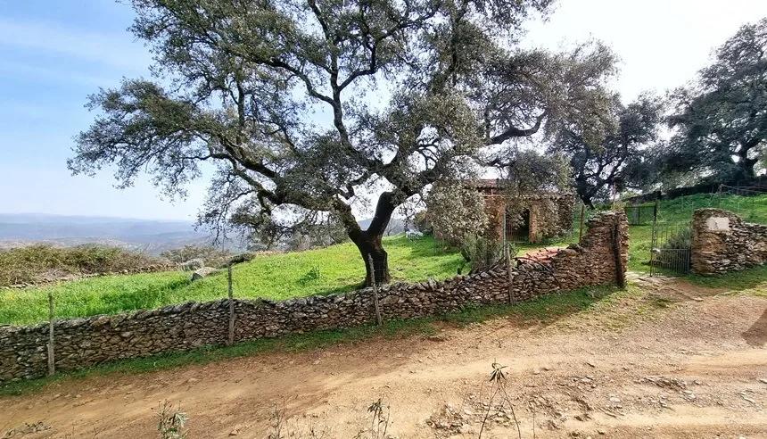 Casa en Venta en Aracena