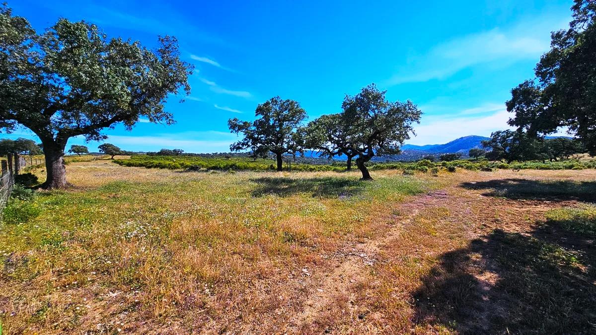 Casa en Venta en Aracena