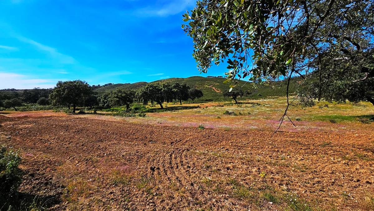 Casa en Venta en Aracena