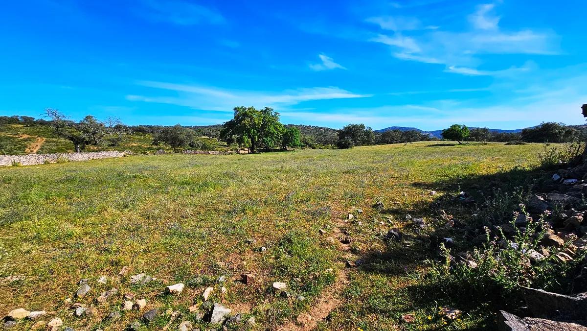 Casa en Venta en Aracena