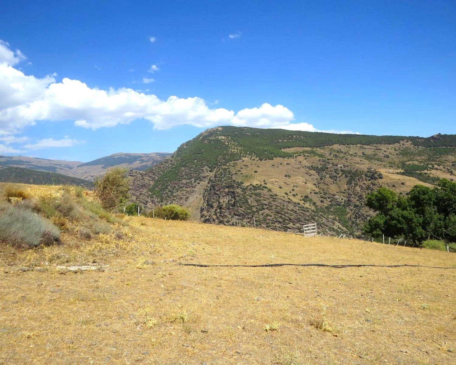 House for Sale in Bérchules