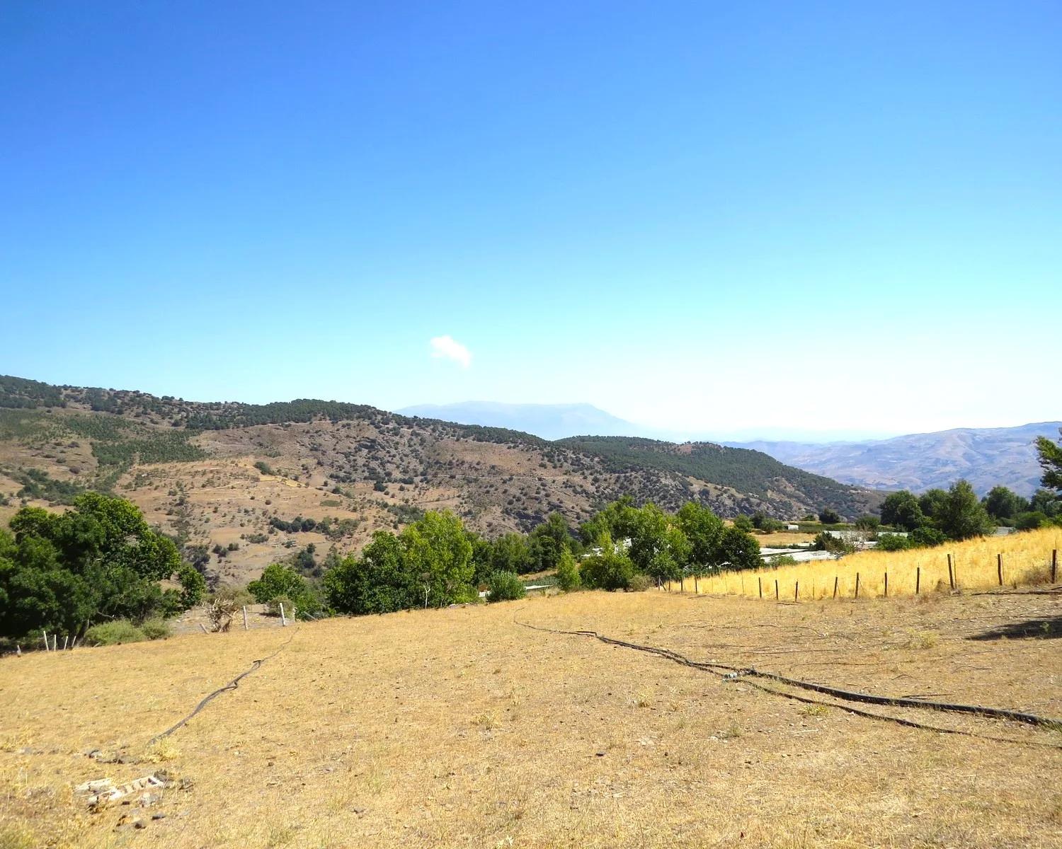 House for Sale in Bérchules