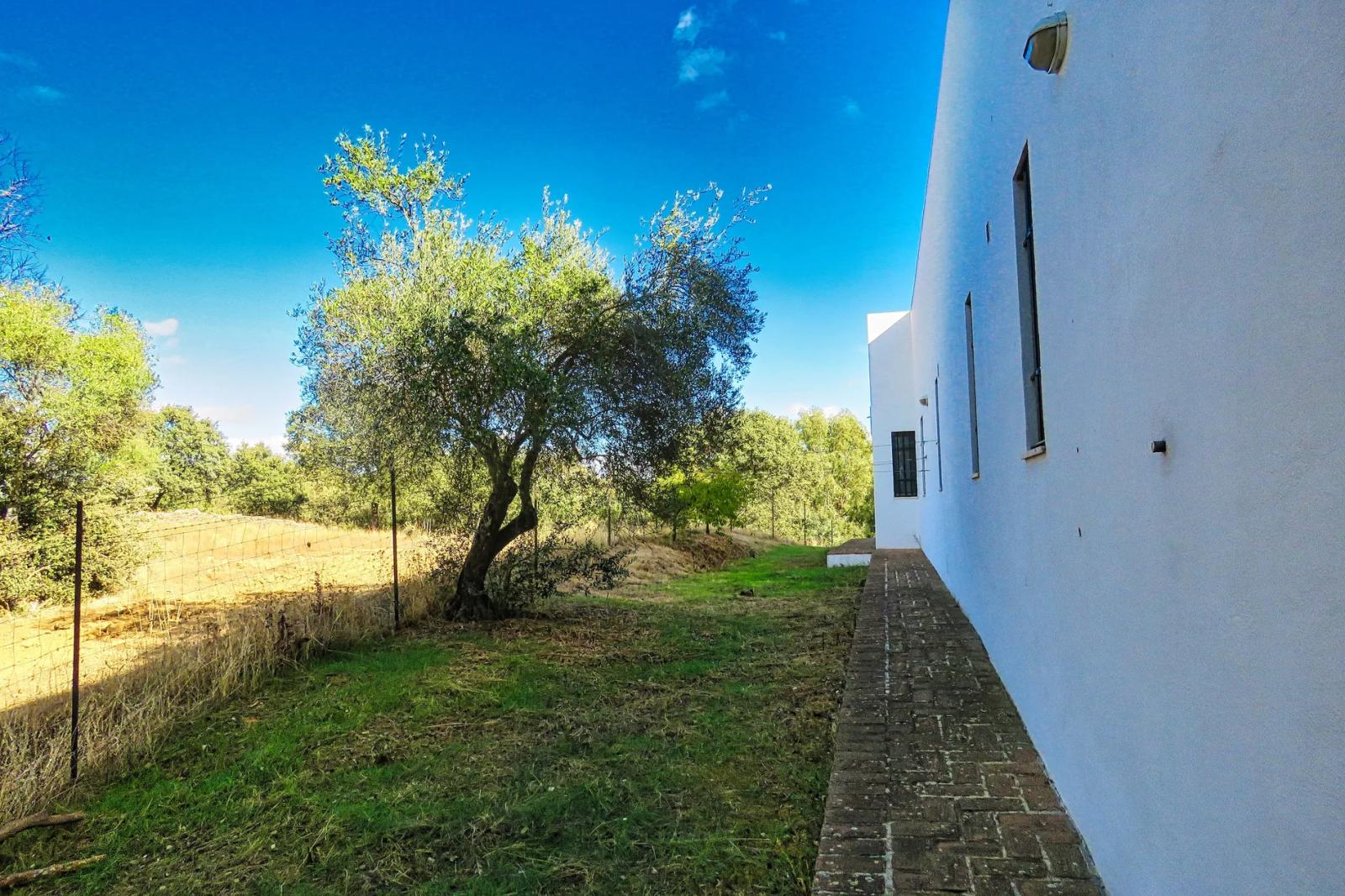 House for Sale in Cazalla de la Sierra