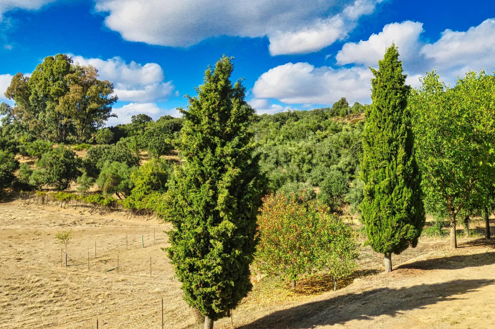 House for Sale in Cazalla de la Sierra