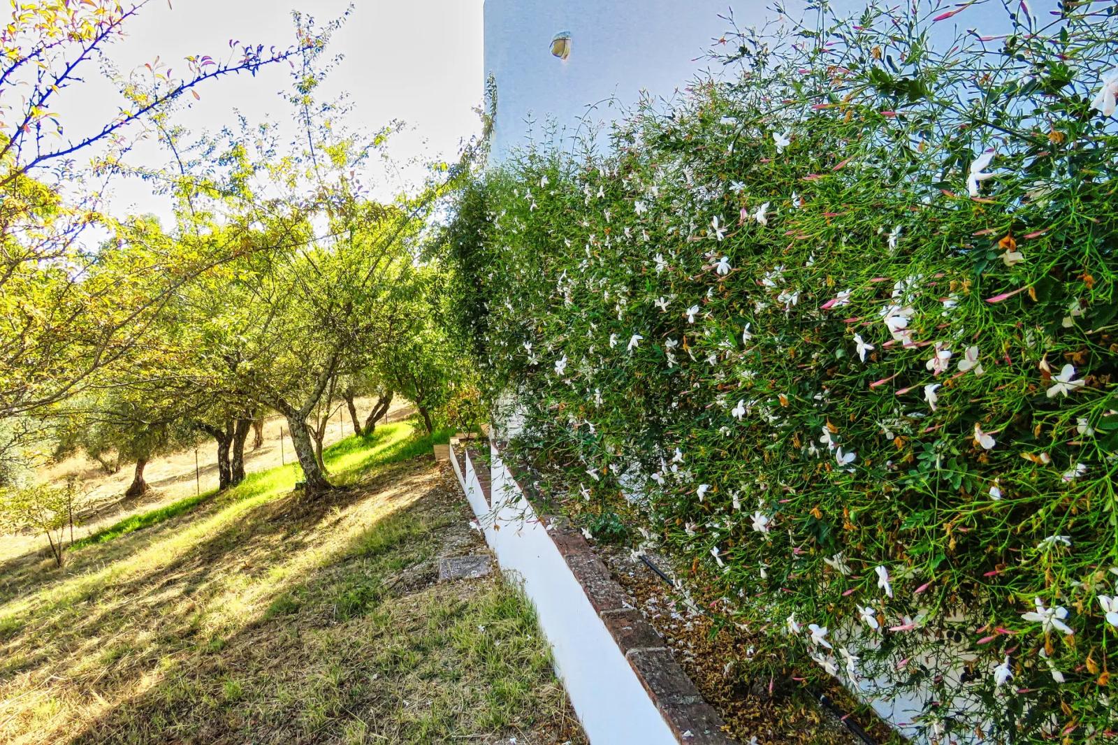 House for Sale in Cazalla de la Sierra