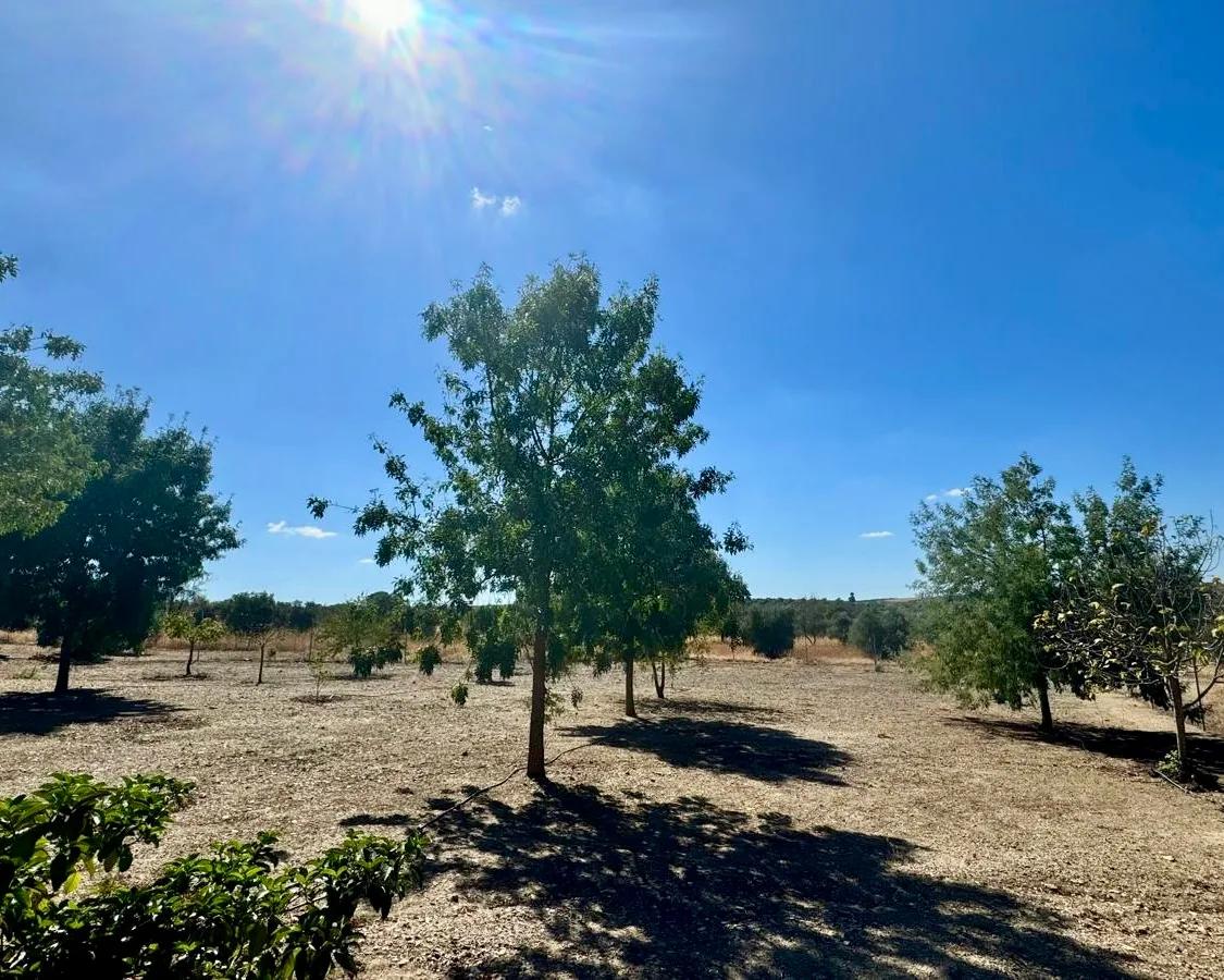 Casa en Venta en Berlanga
