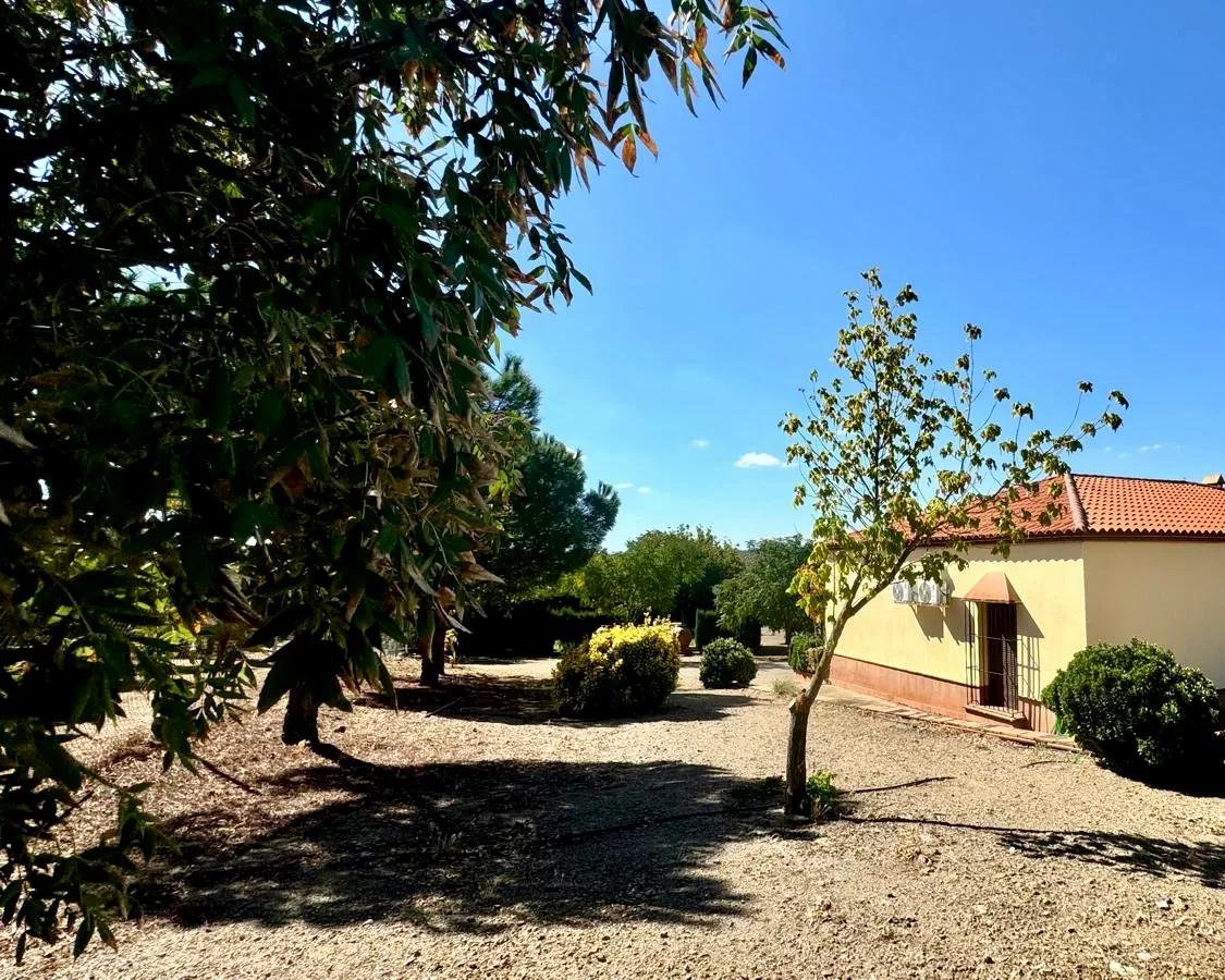 Casa en Venta en Berlanga