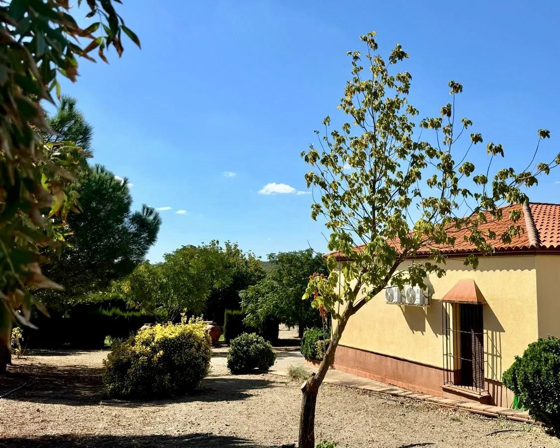 Casa en Venta en Berlanga