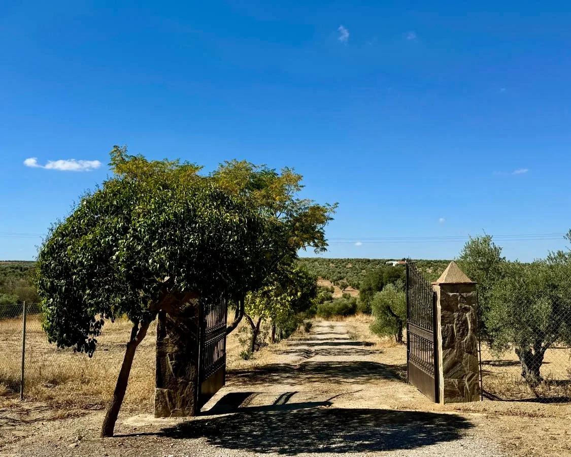 Casa en Venta en Berlanga