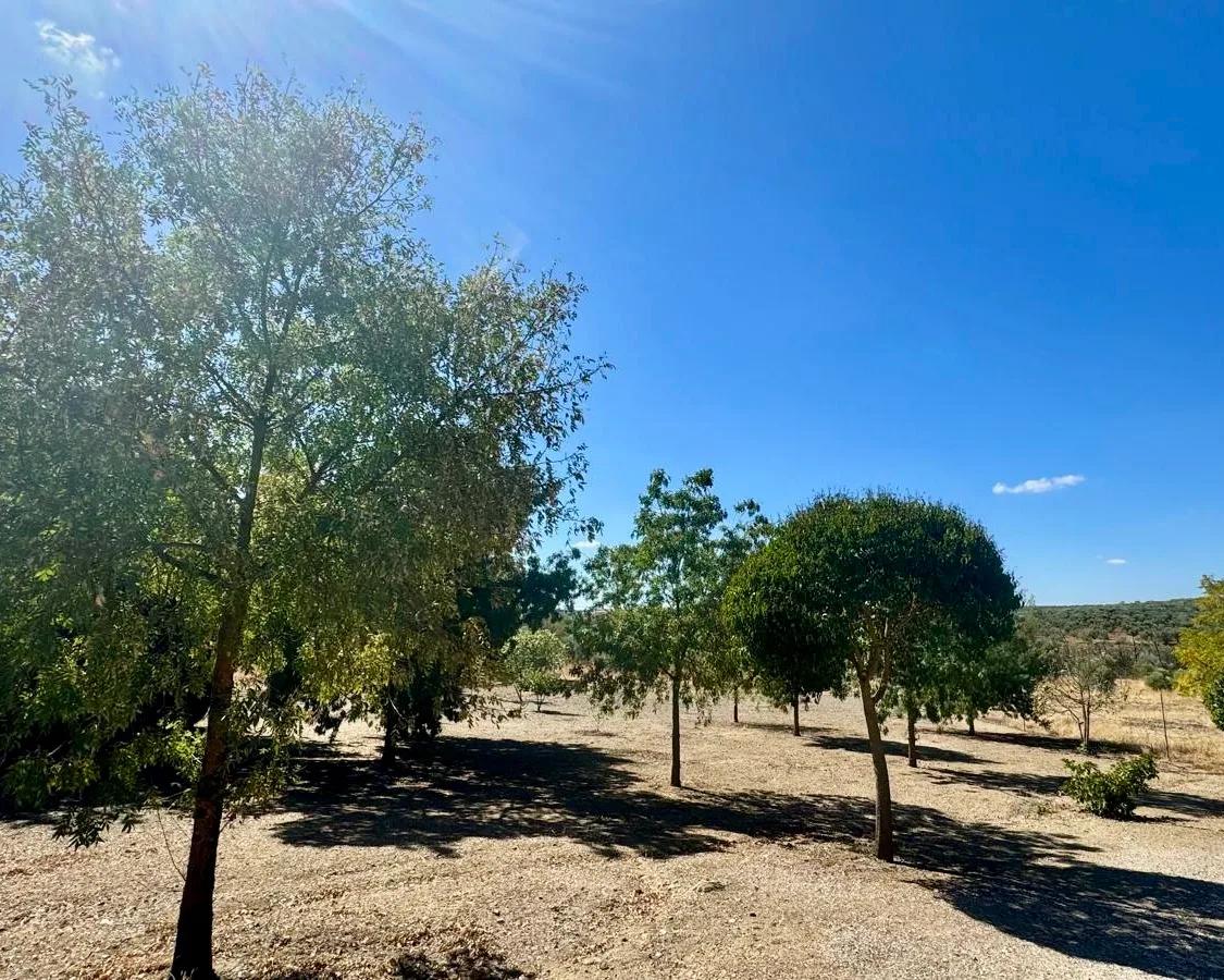 Casa en Venta en Berlanga