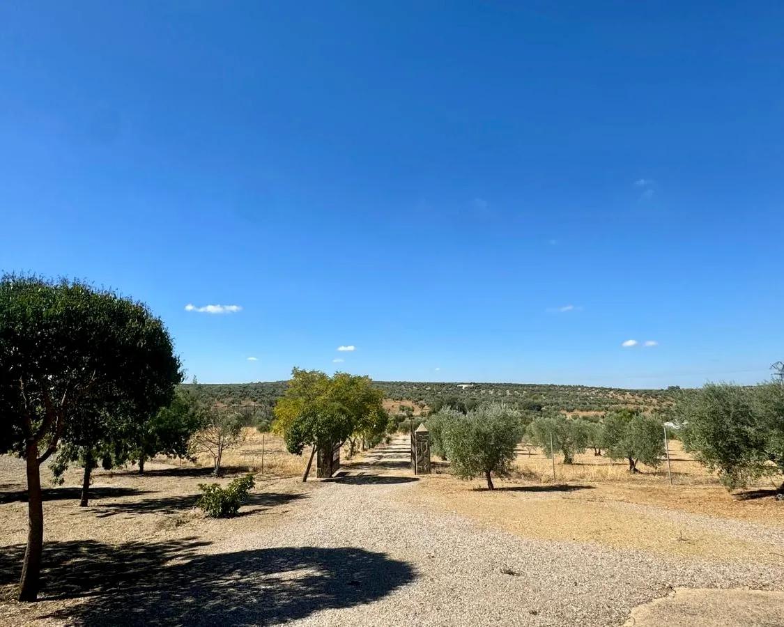 Casa en Venta en Berlanga