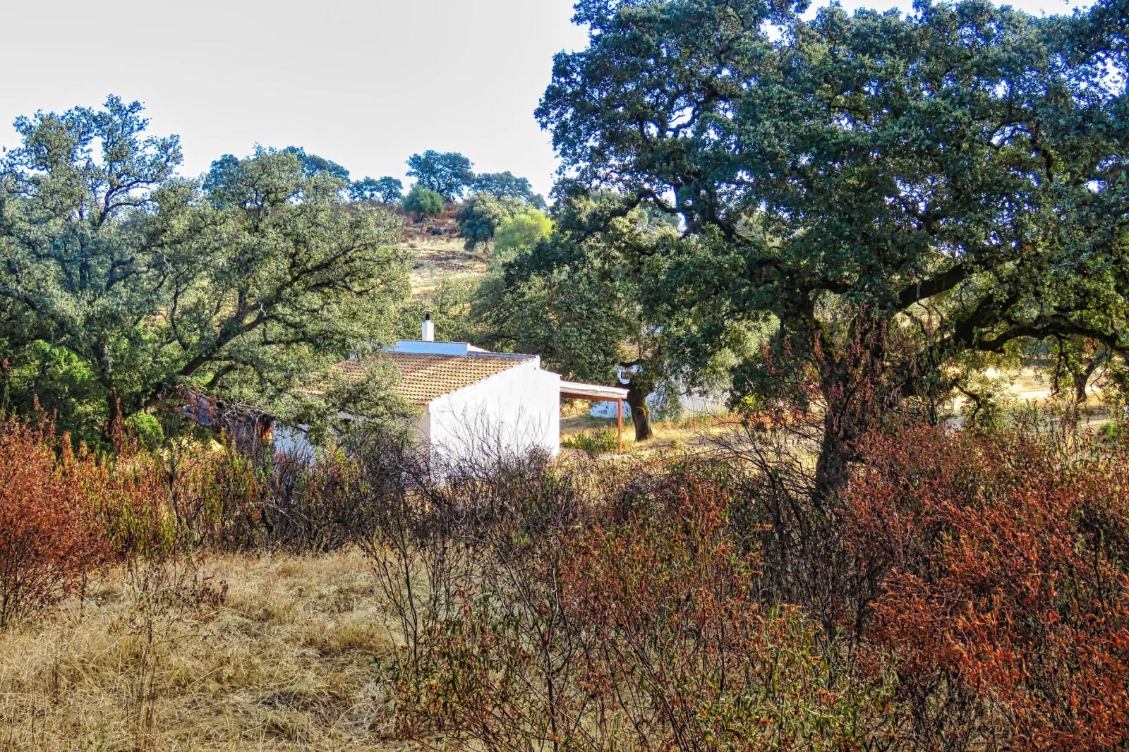 Casa en Venta en El Castillo de las Guardas