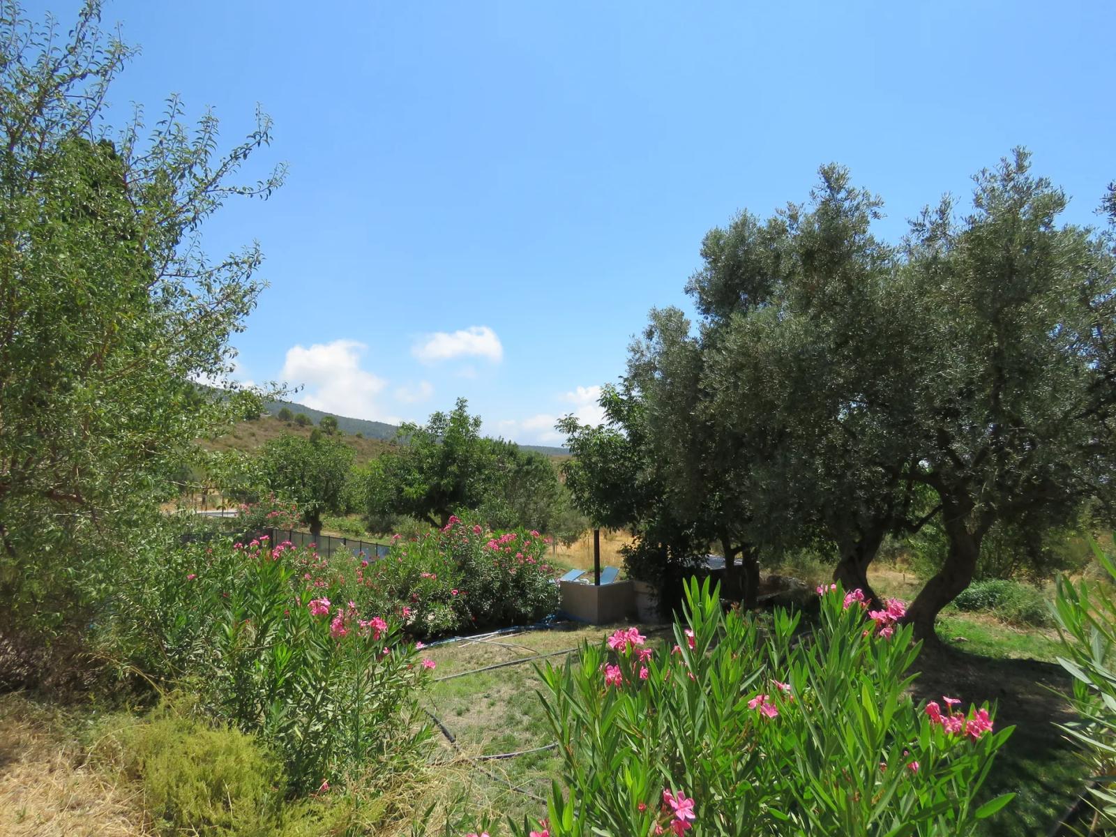 House for Sale in Lecrín