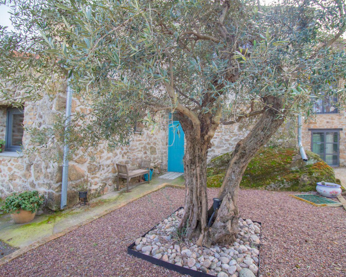 House for Sale in Jaraíz de la Vera