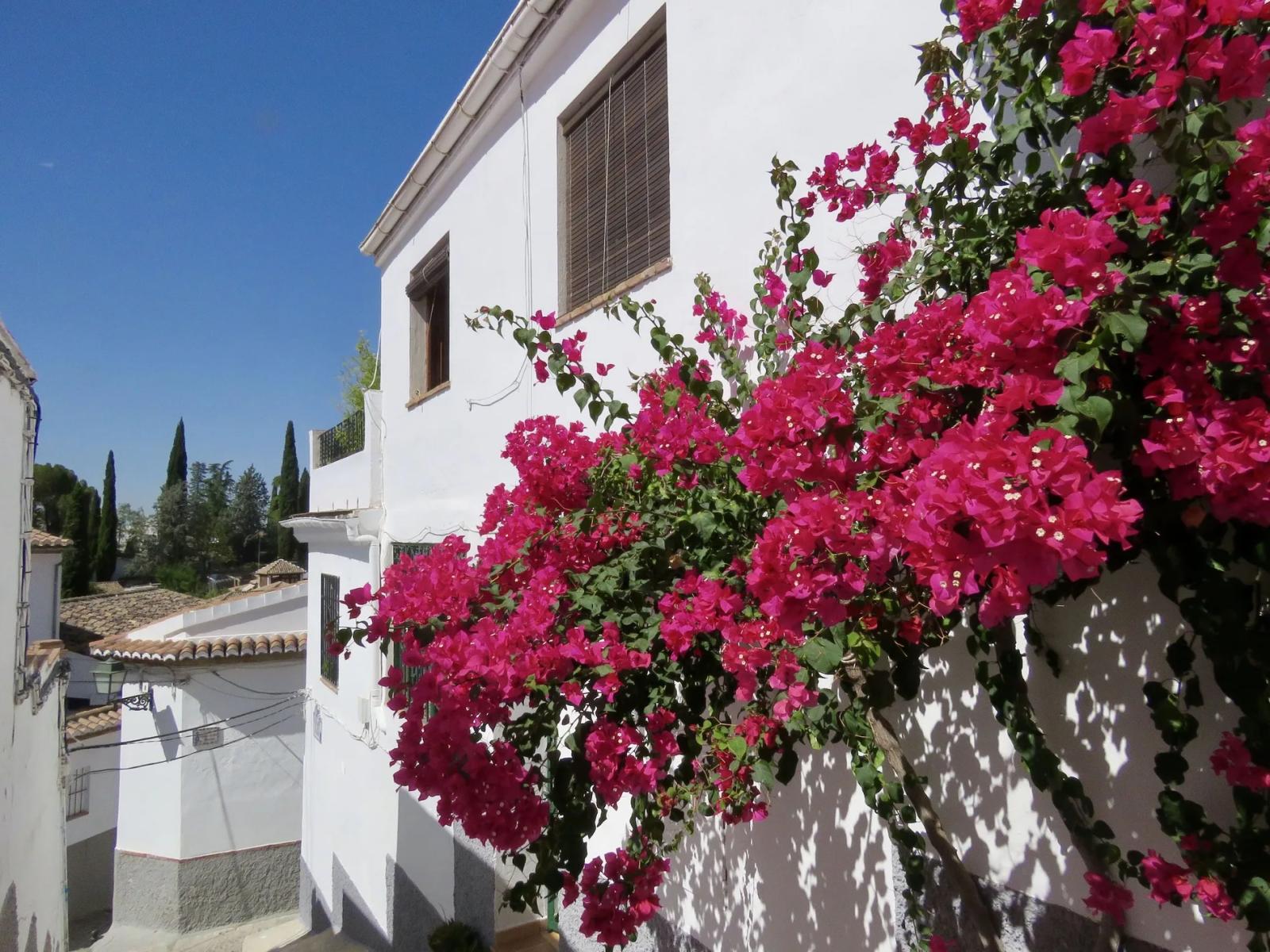 House for Sale in Granada