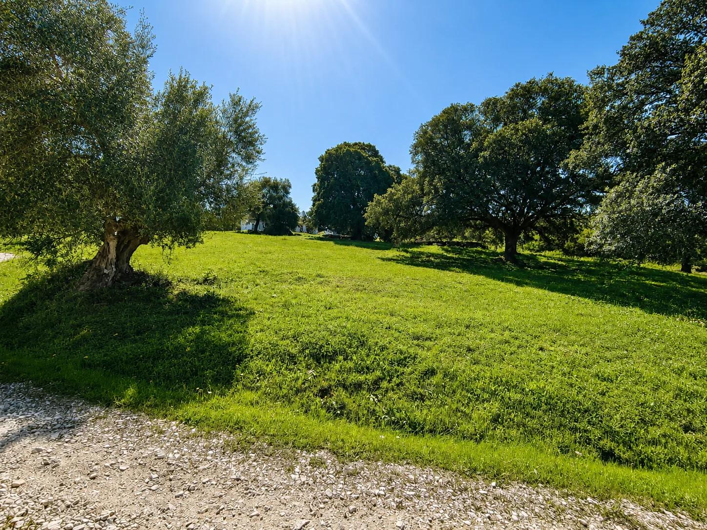 House for Sale in Cortes de la Frontera
