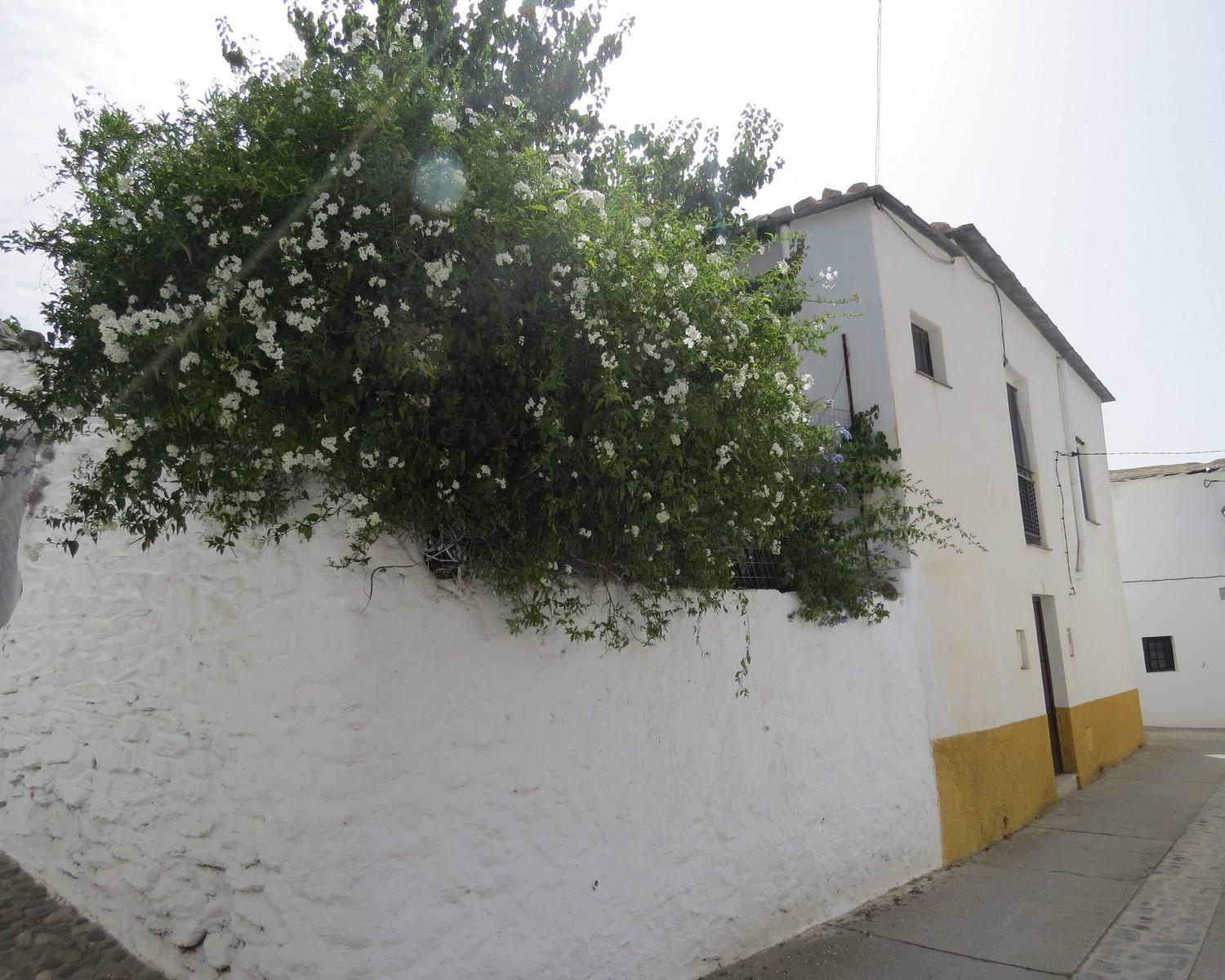 House for Sale in Cádiar