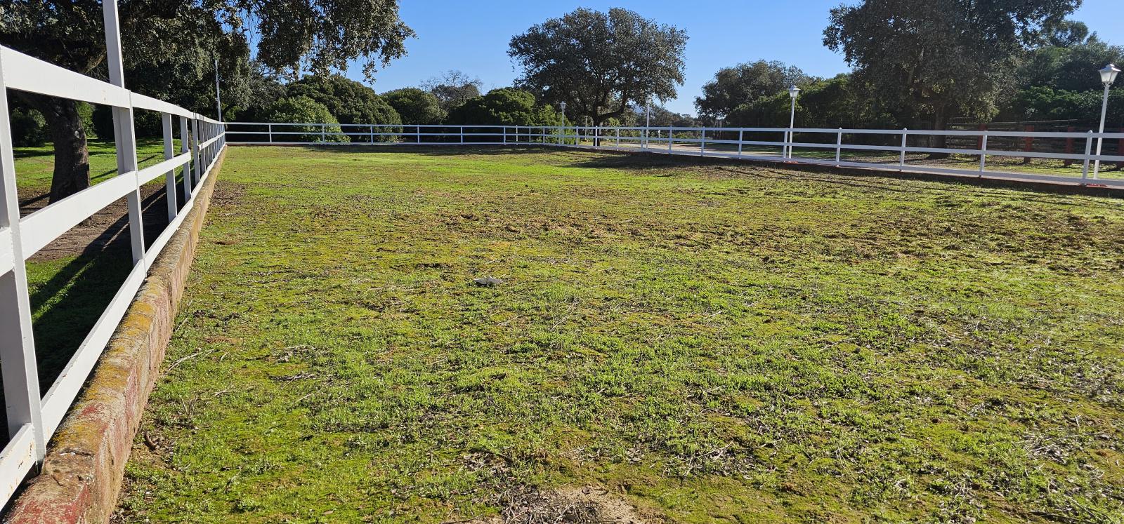 Casa en Venta en Morón de la Frontera