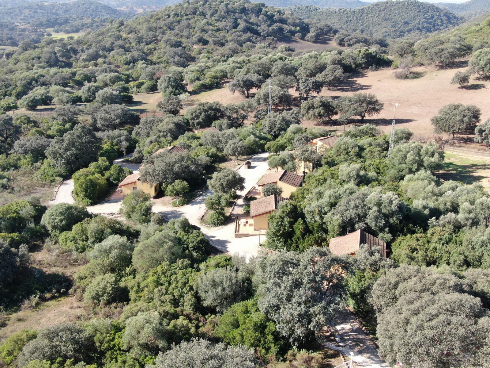 Casa en Venta en Morón de la Frontera