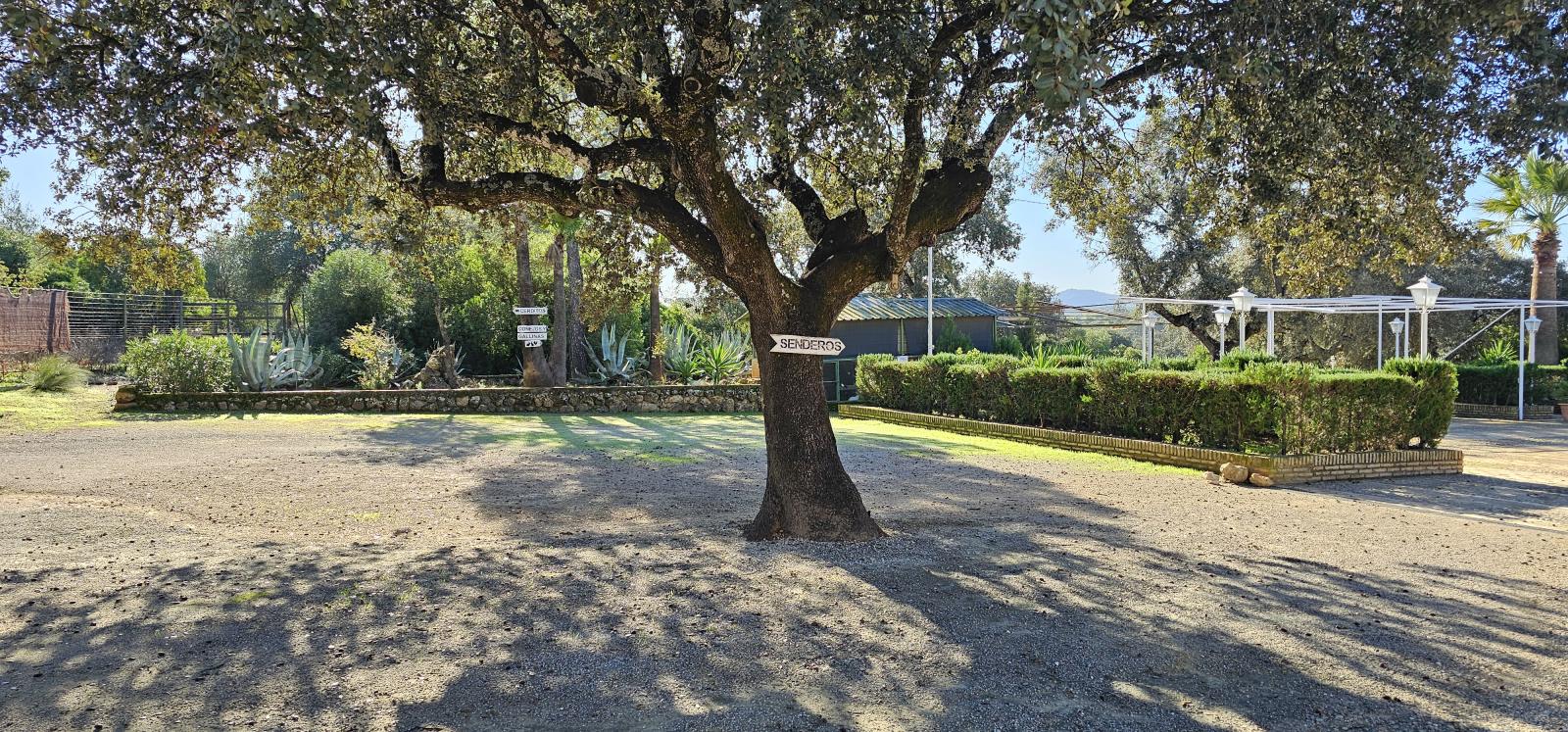 Casa en Venta en Morón de la Frontera