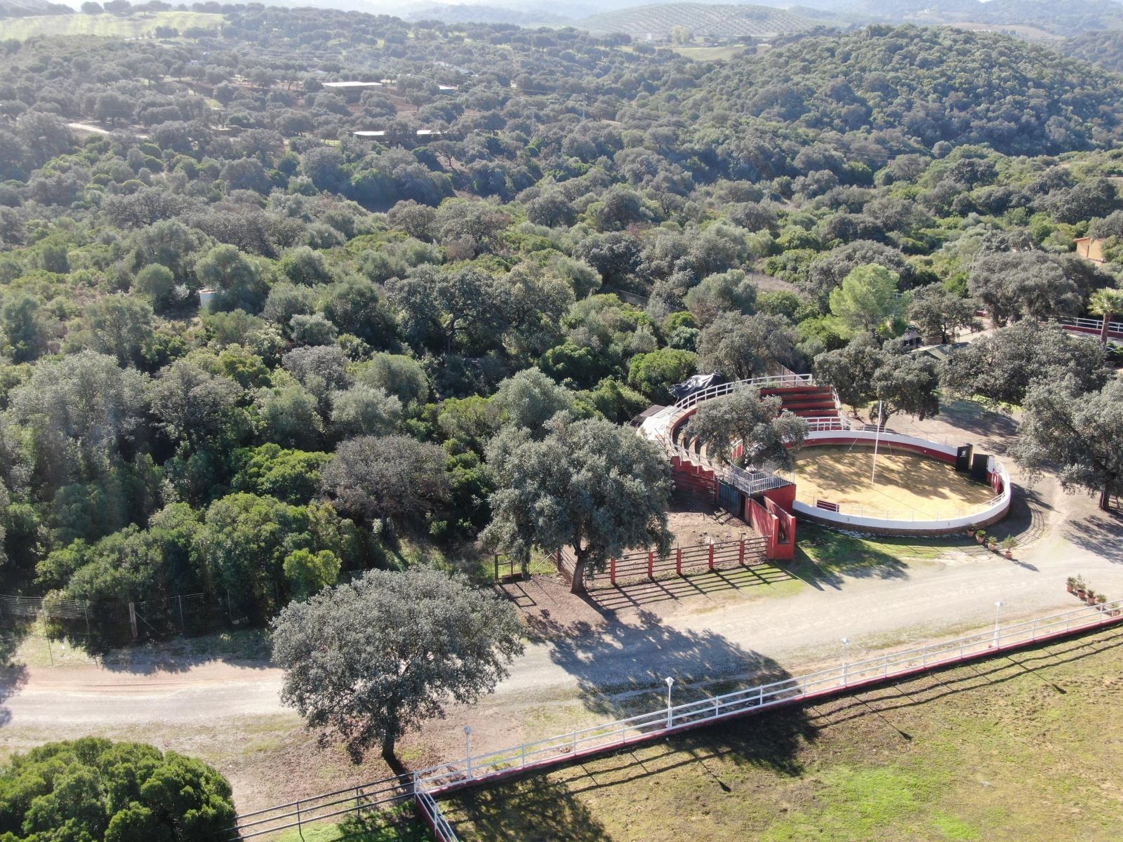 Casa en Venta en Morón de la Frontera