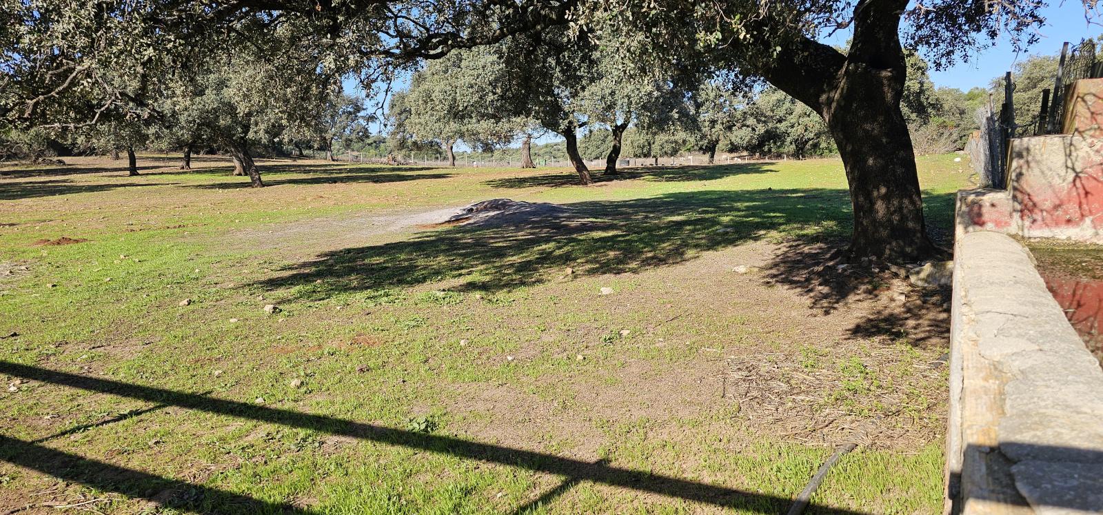 Casa en Venta en Morón de la Frontera