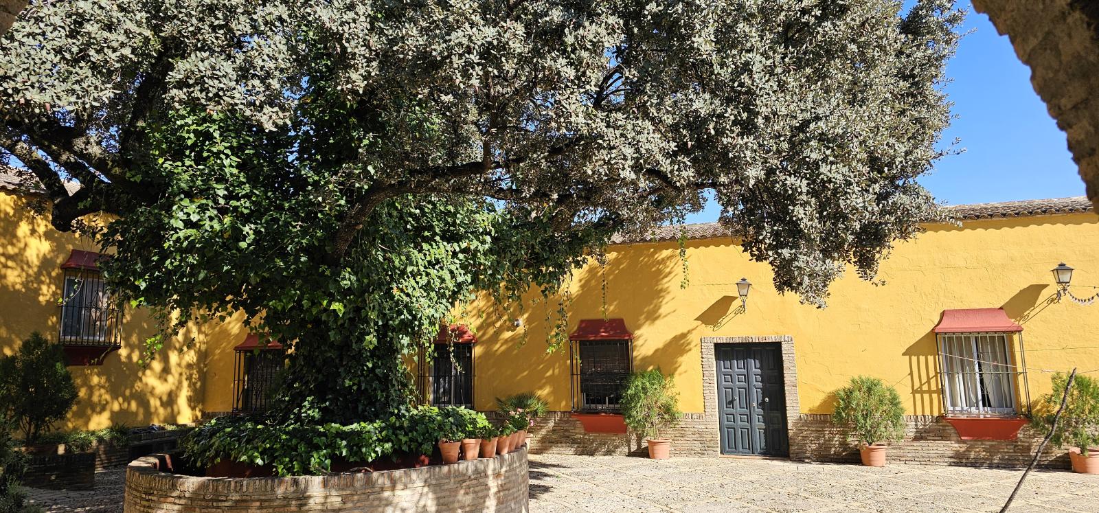 Casa en Venta en Morón de la Frontera