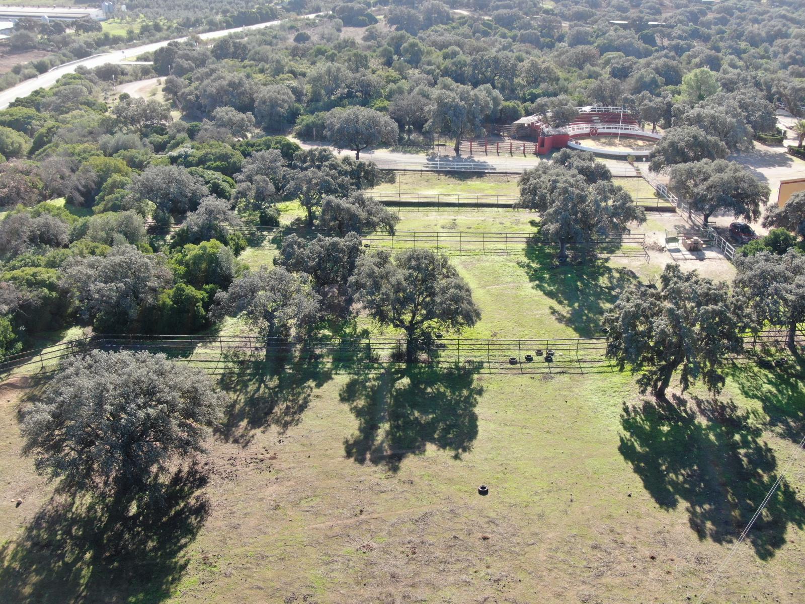 Casa en Venta en Morón de la Frontera