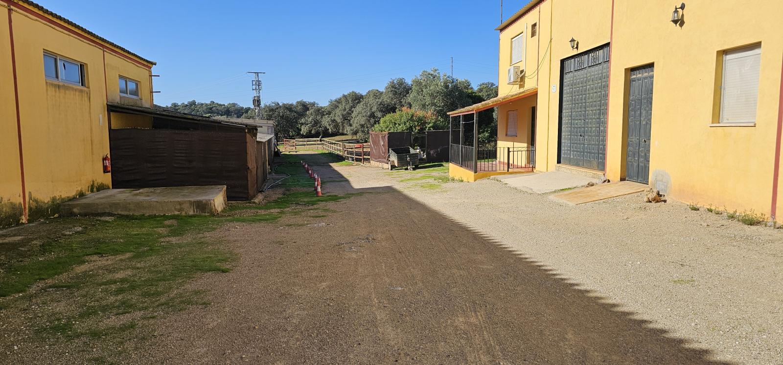 Casa en Venta en Morón de la Frontera
