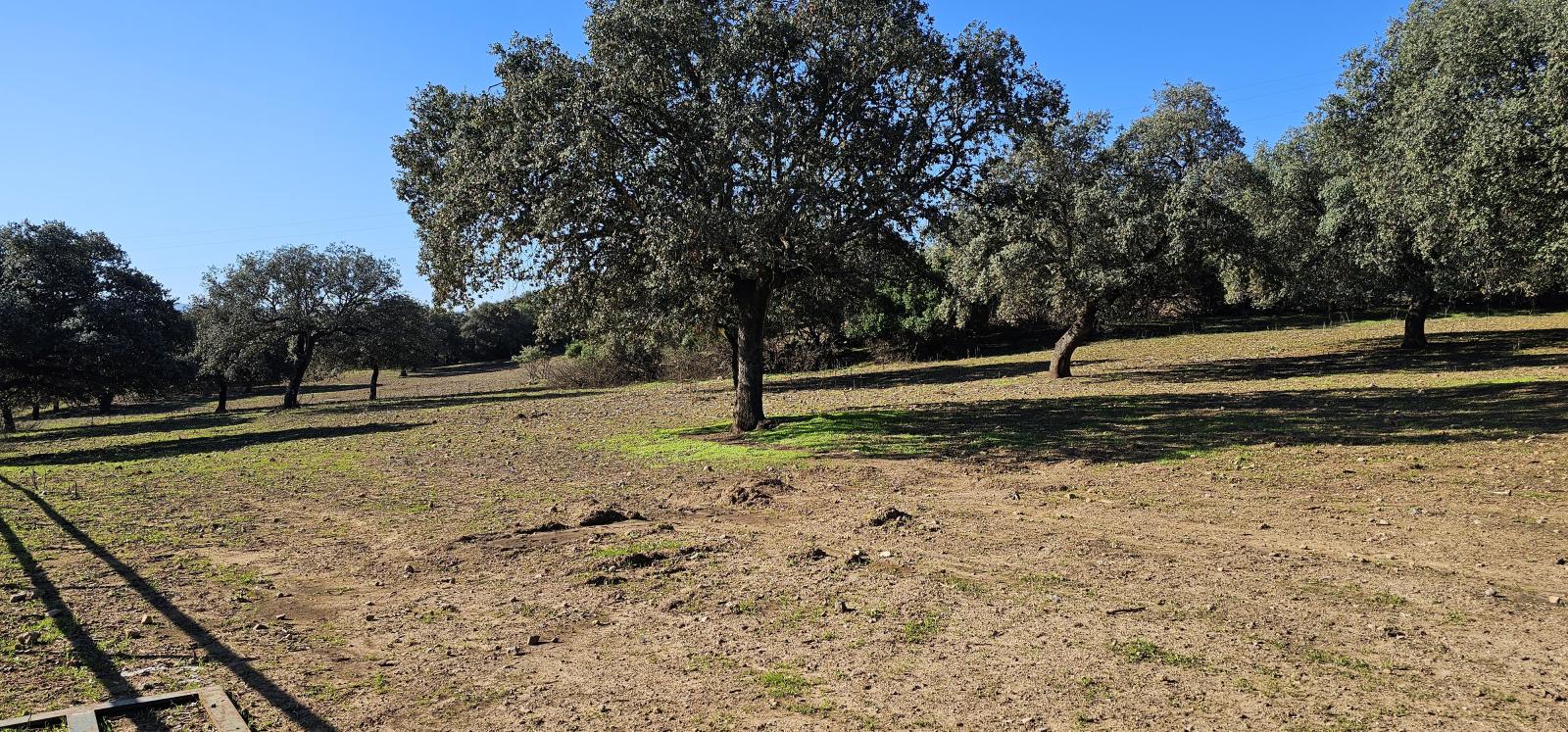 Casa en Venta en Morón de la Frontera