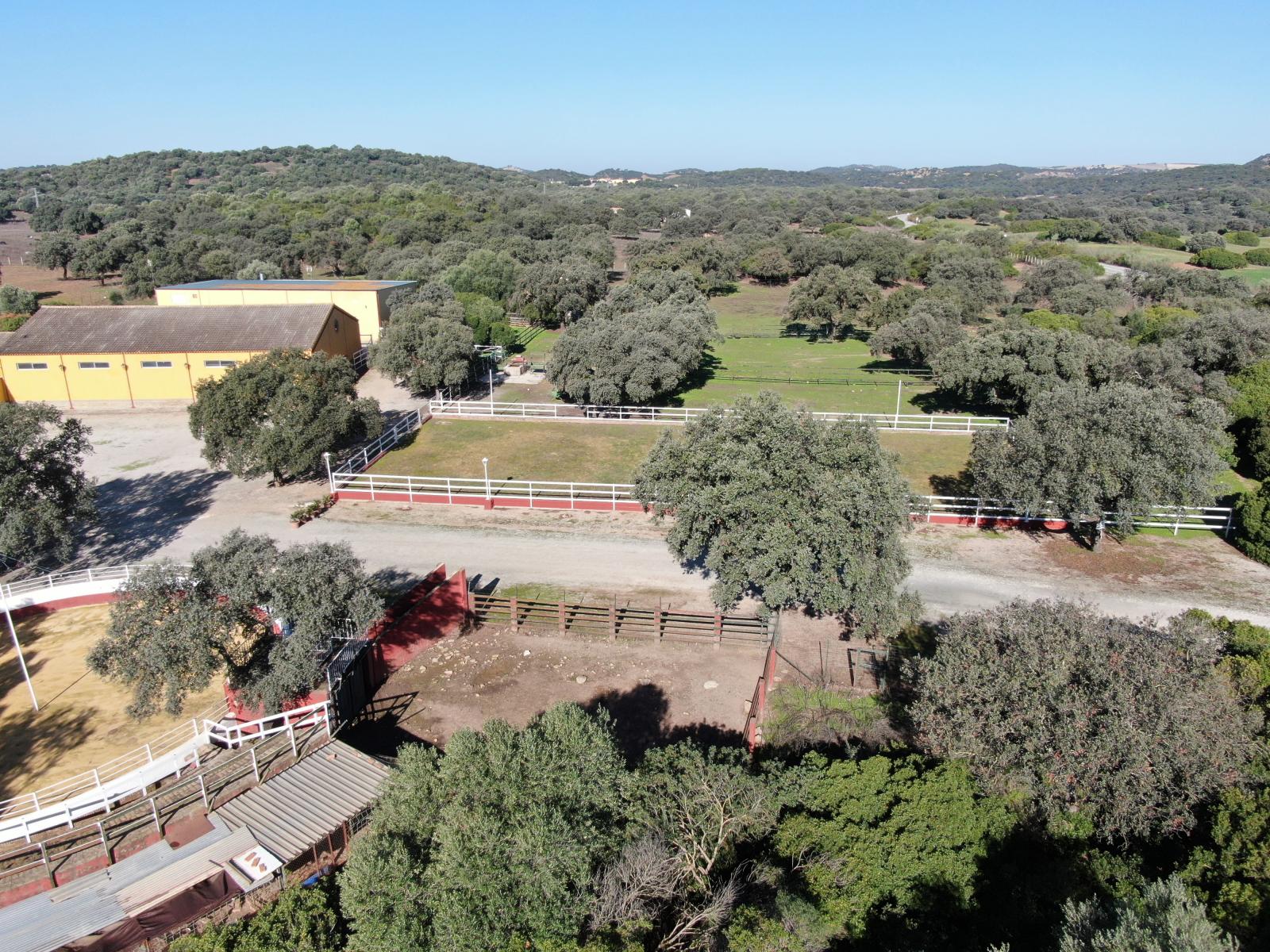 Casa en Venta en Morón de la Frontera