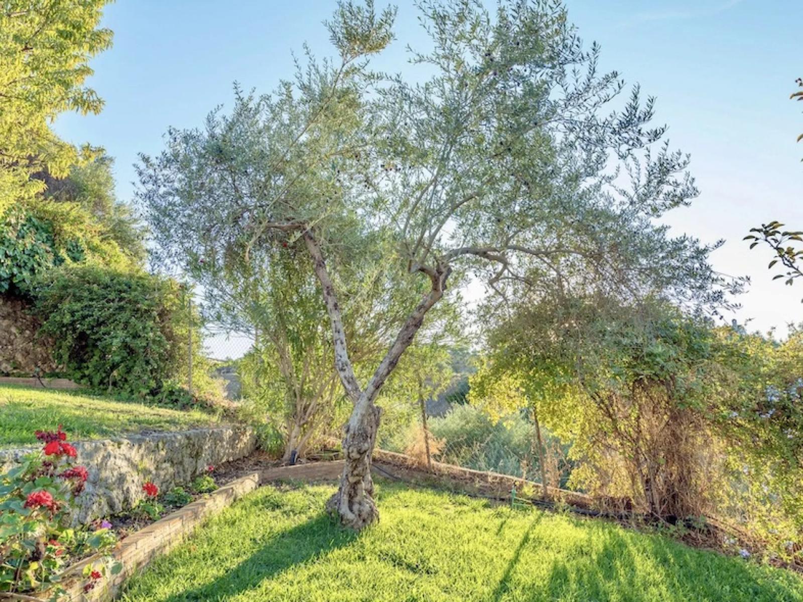 Casa en Venta en La Puebla de los Infantes