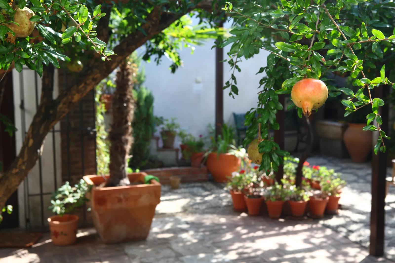 House for Sale in Granada