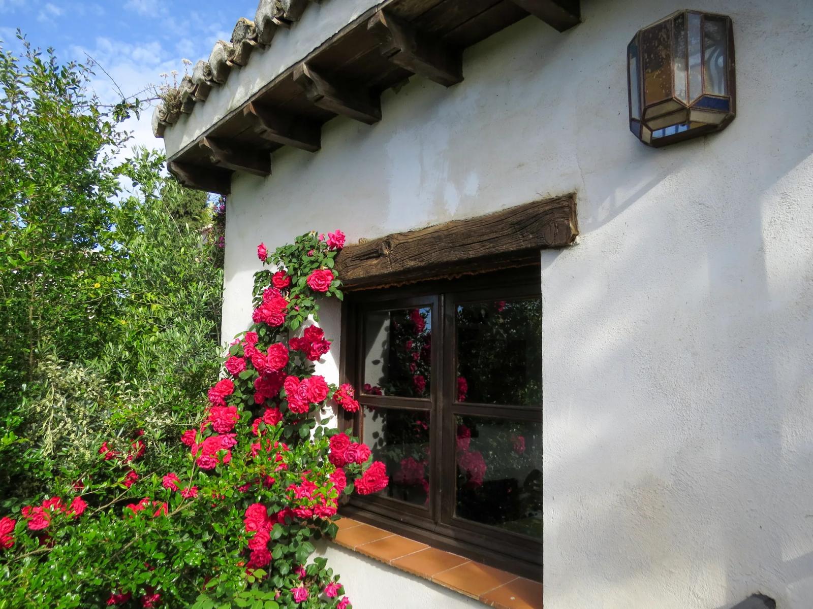 House for Sale in Granada