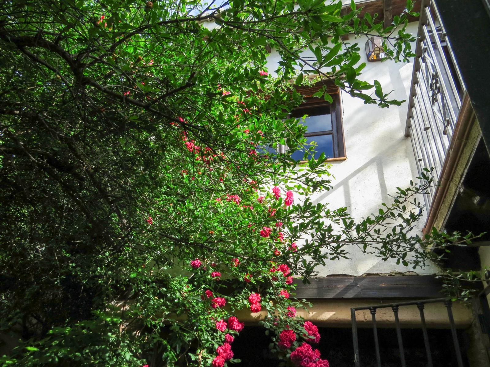 House for Sale in Granada