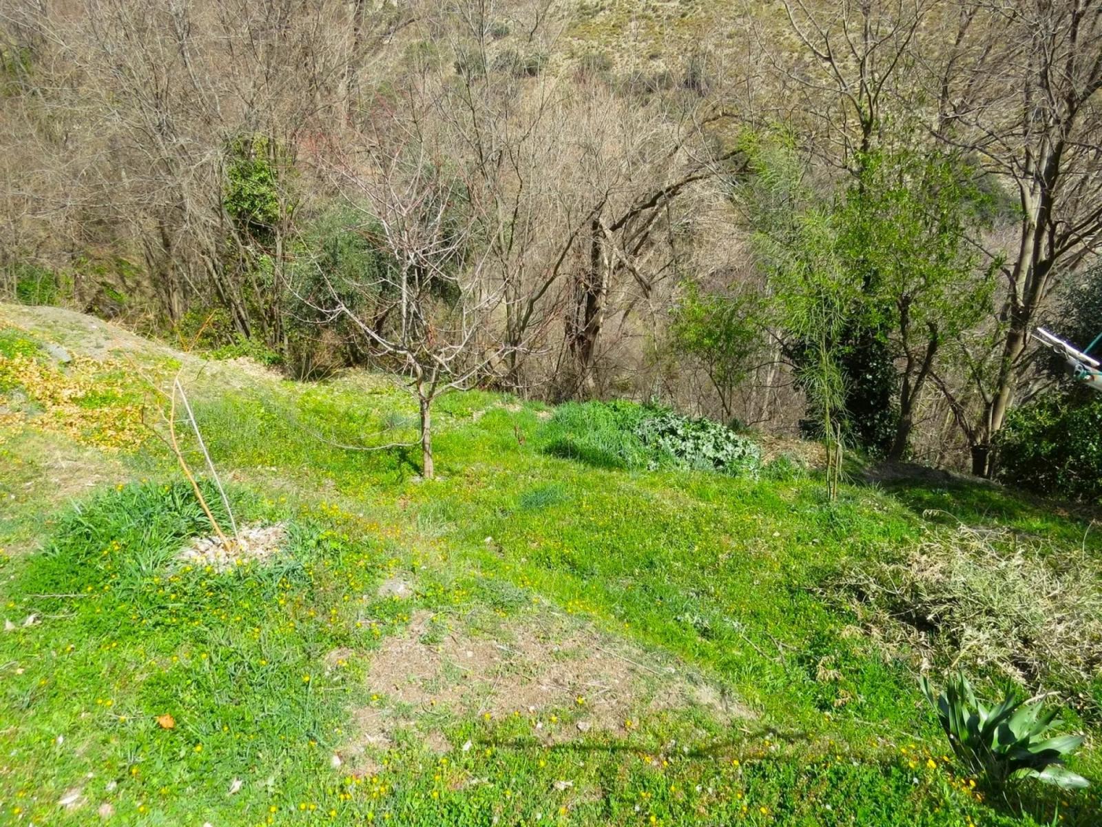 House for Sale in Bérchules