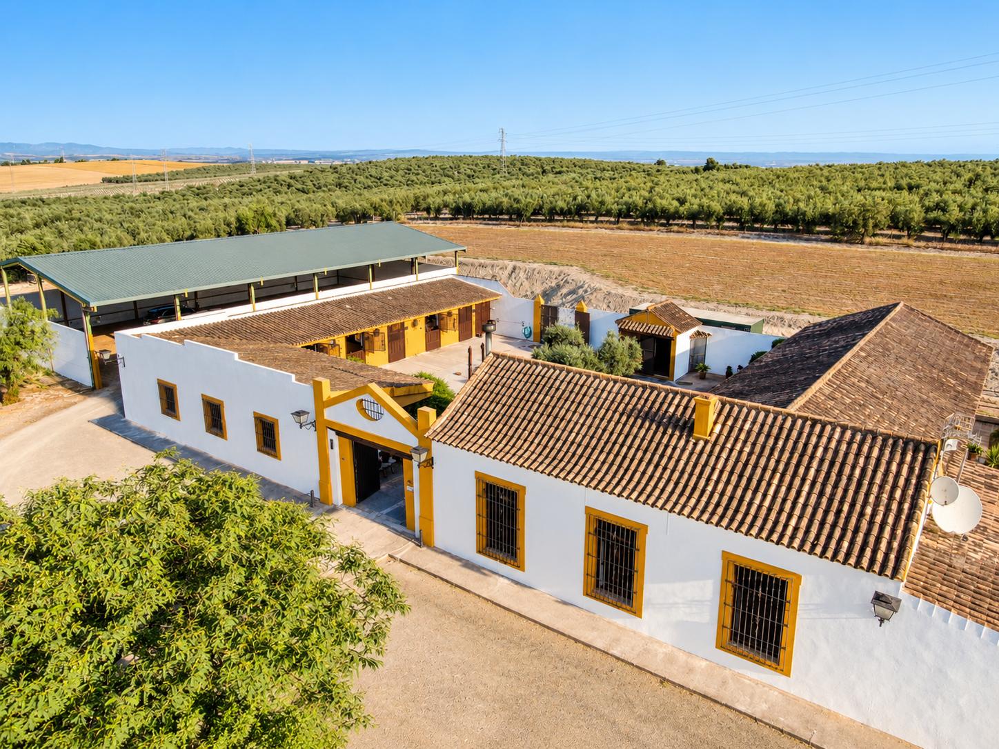 Casa en Venta en Morón de la Frontera