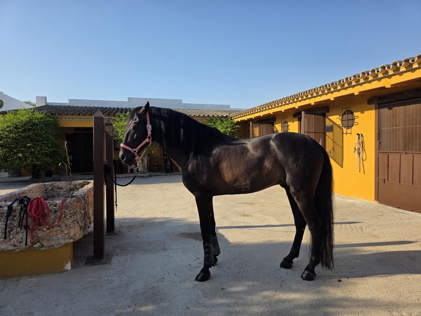 Casa en Venta en Morón de la Frontera