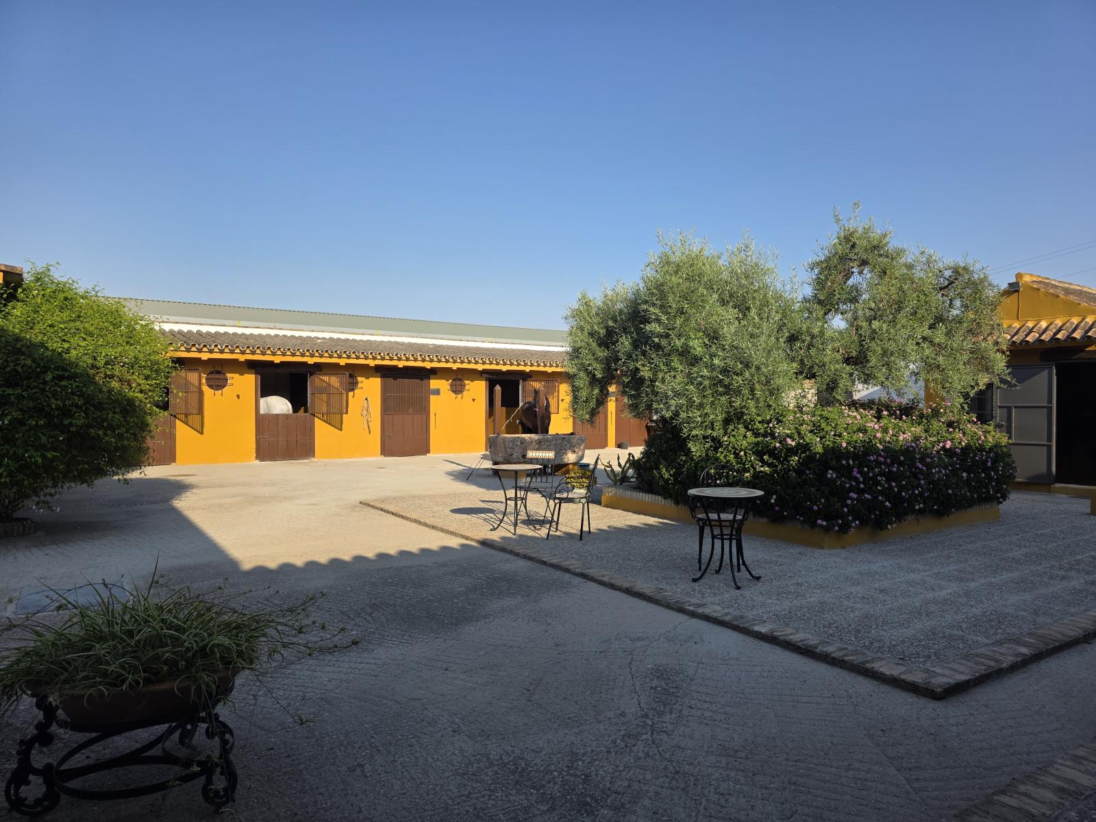 Casa en Venta en Morón de la Frontera