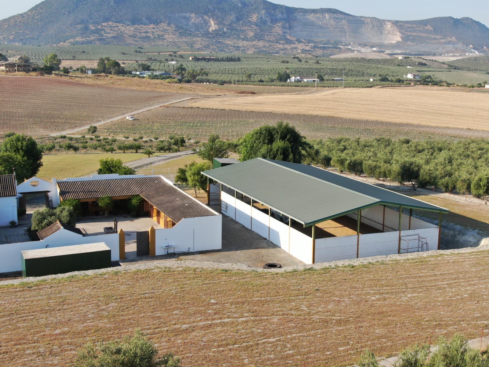 Casa en Venta en Morón de la Frontera