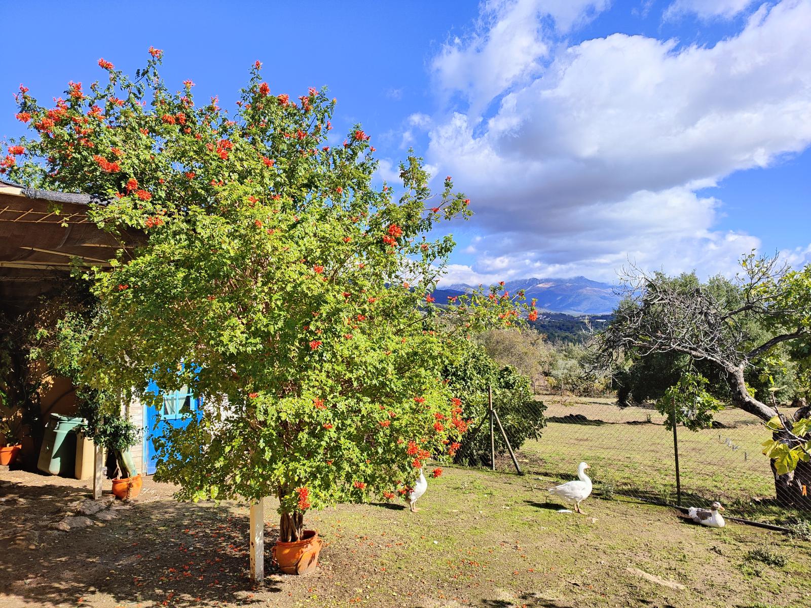 Casa en Venta en Villanueva de la Vera