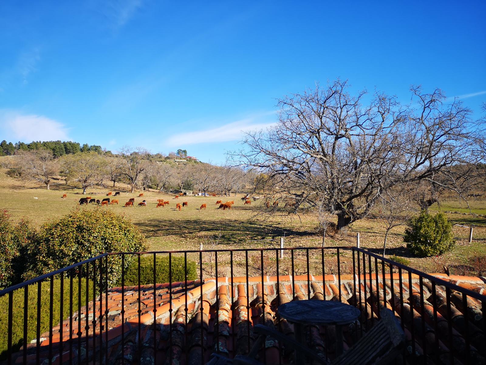 Casa en Venta en Villanueva de la Vera