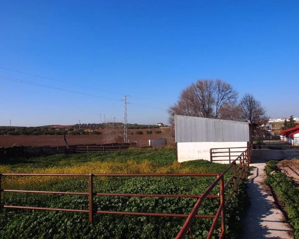 Casa en Venta en La Puebla de Cazalla