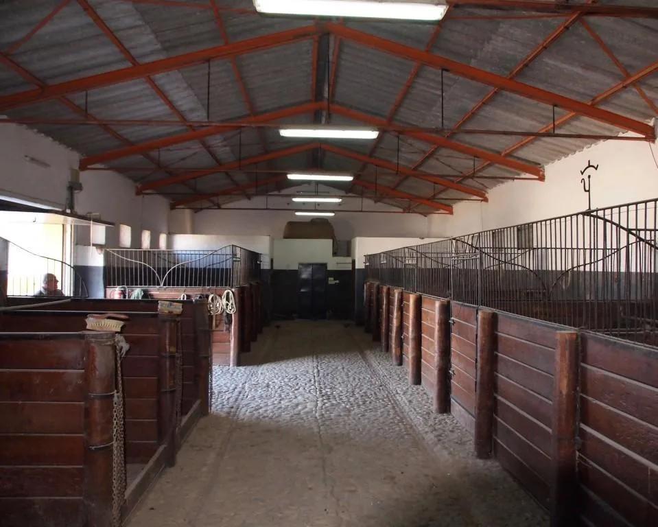 Casa en Venta en La Puebla de Cazalla
