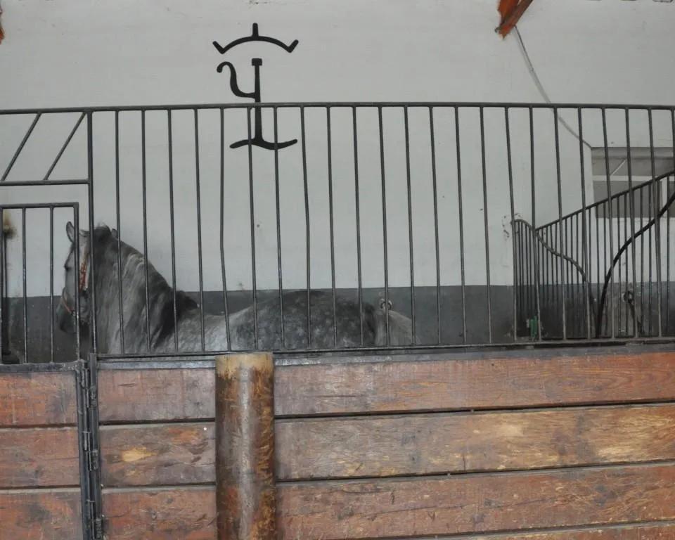 Casa en Venta en La Puebla de Cazalla